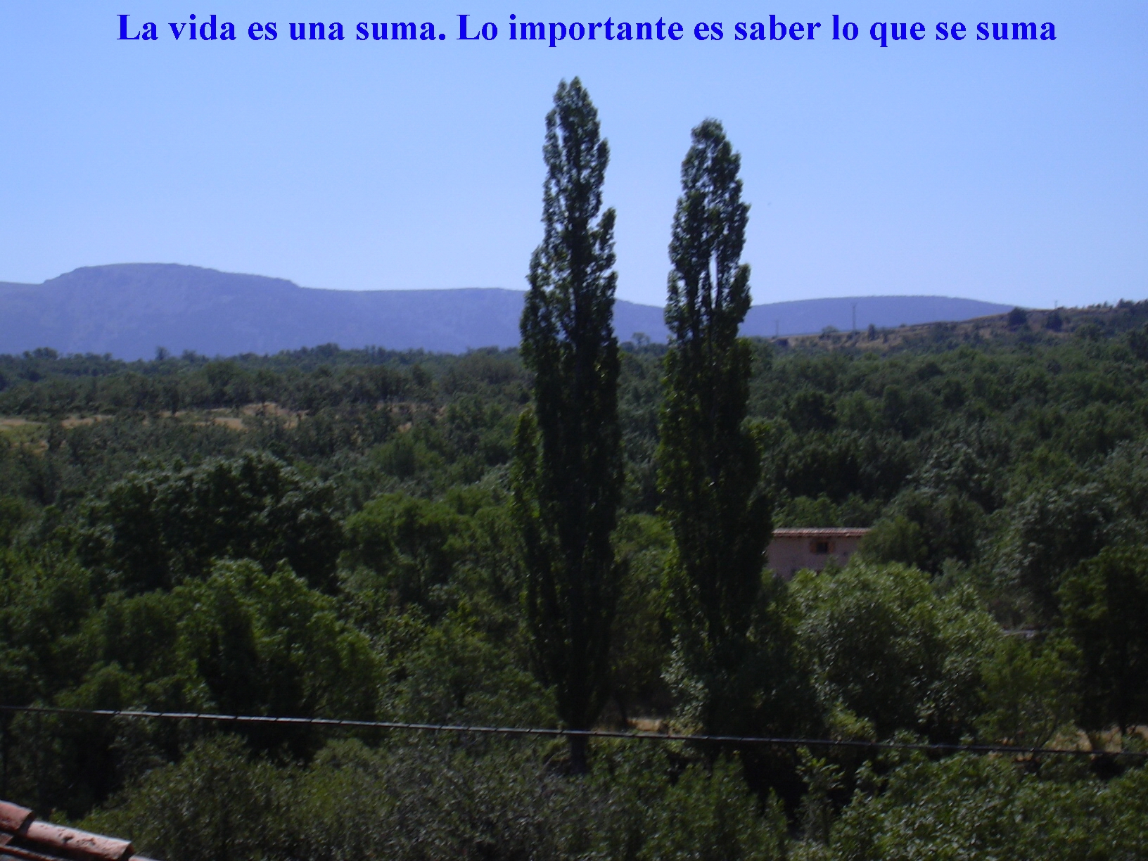 La vida es una suma ...